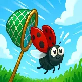 Catch Insect - catch-insect