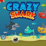 Crazy Shark - crazy-shark