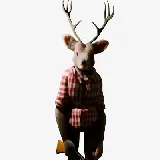 Hunting Deer - hunting-deer
