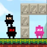 Ninja Cube - ninja-cube